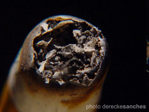 Photo by Derecke Sanches via Flickr