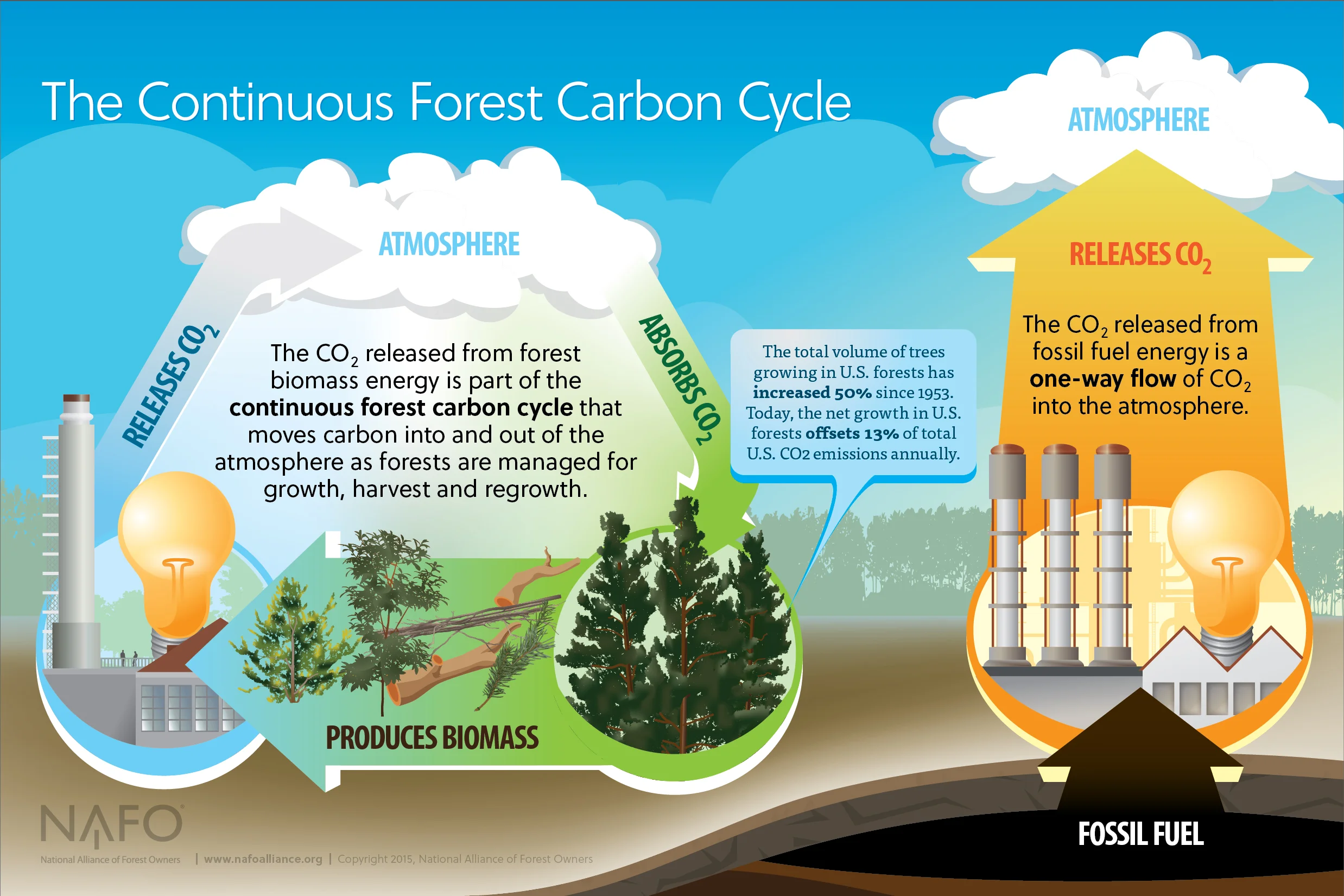 Courtesy National Alliance of Forest Owners