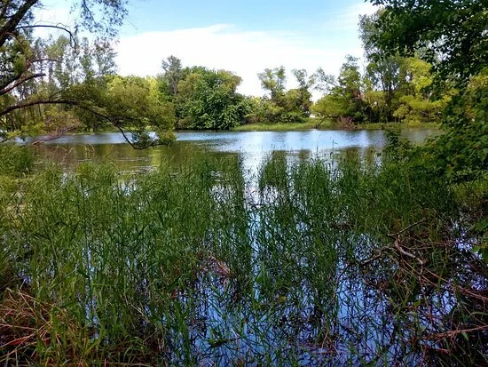 a-great-place-to-walk.jpg