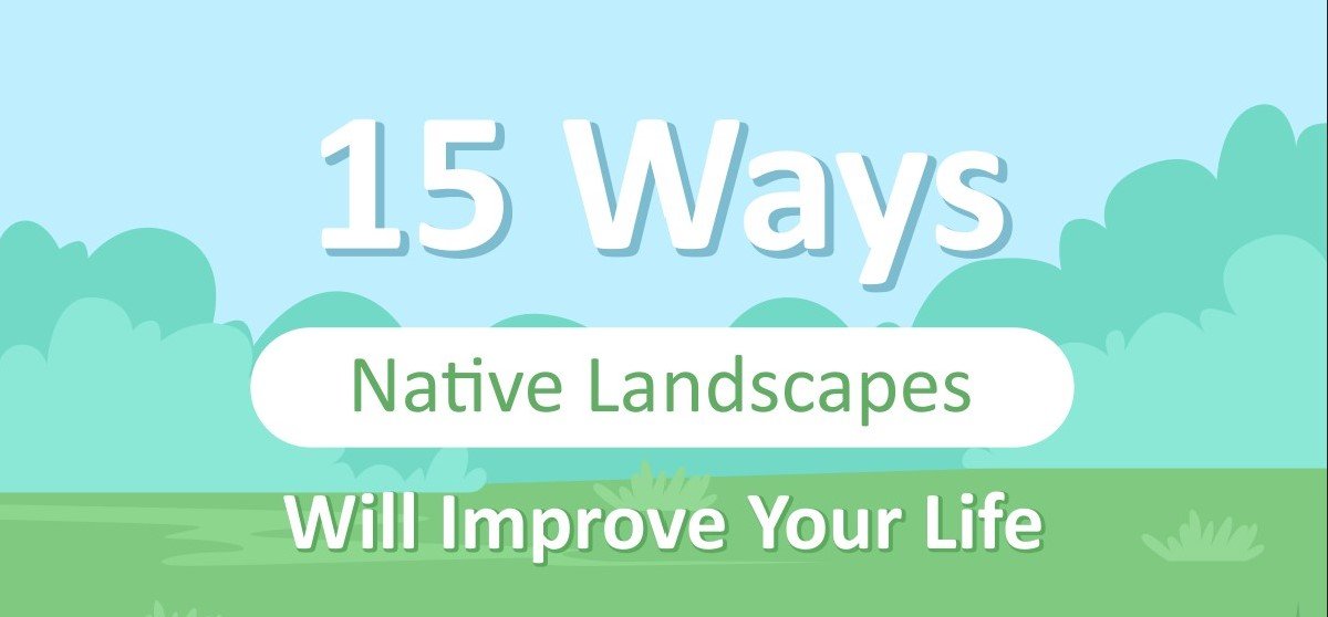 Native Landscapes Improve Your Life Thumb.jpg