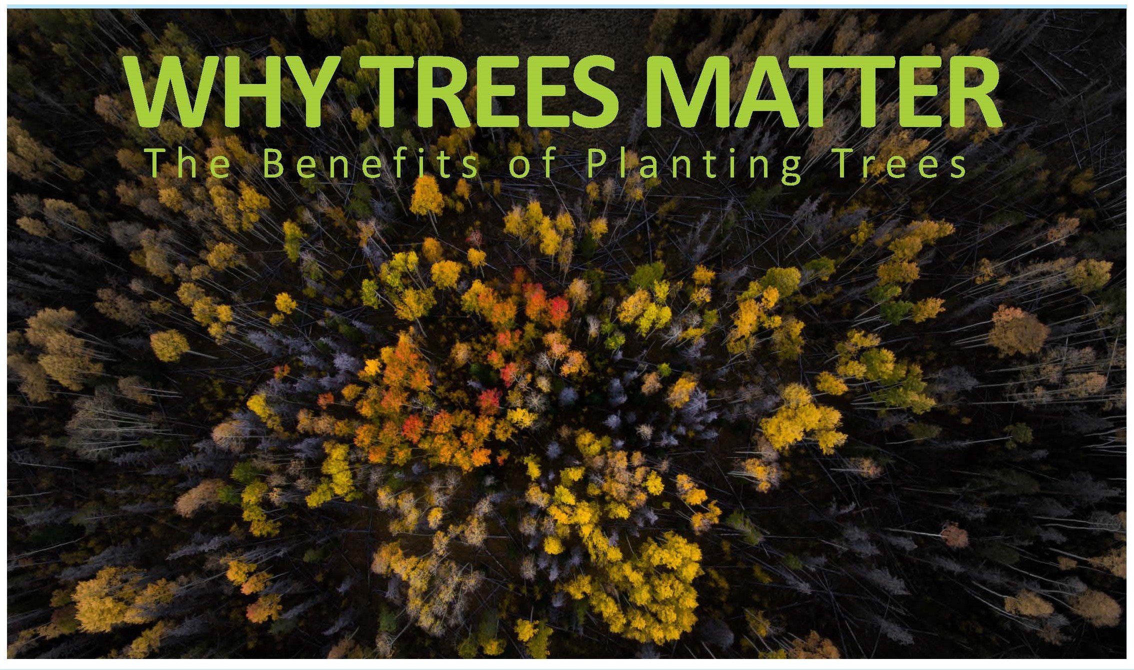Why Trees Matter Thumb.jpg