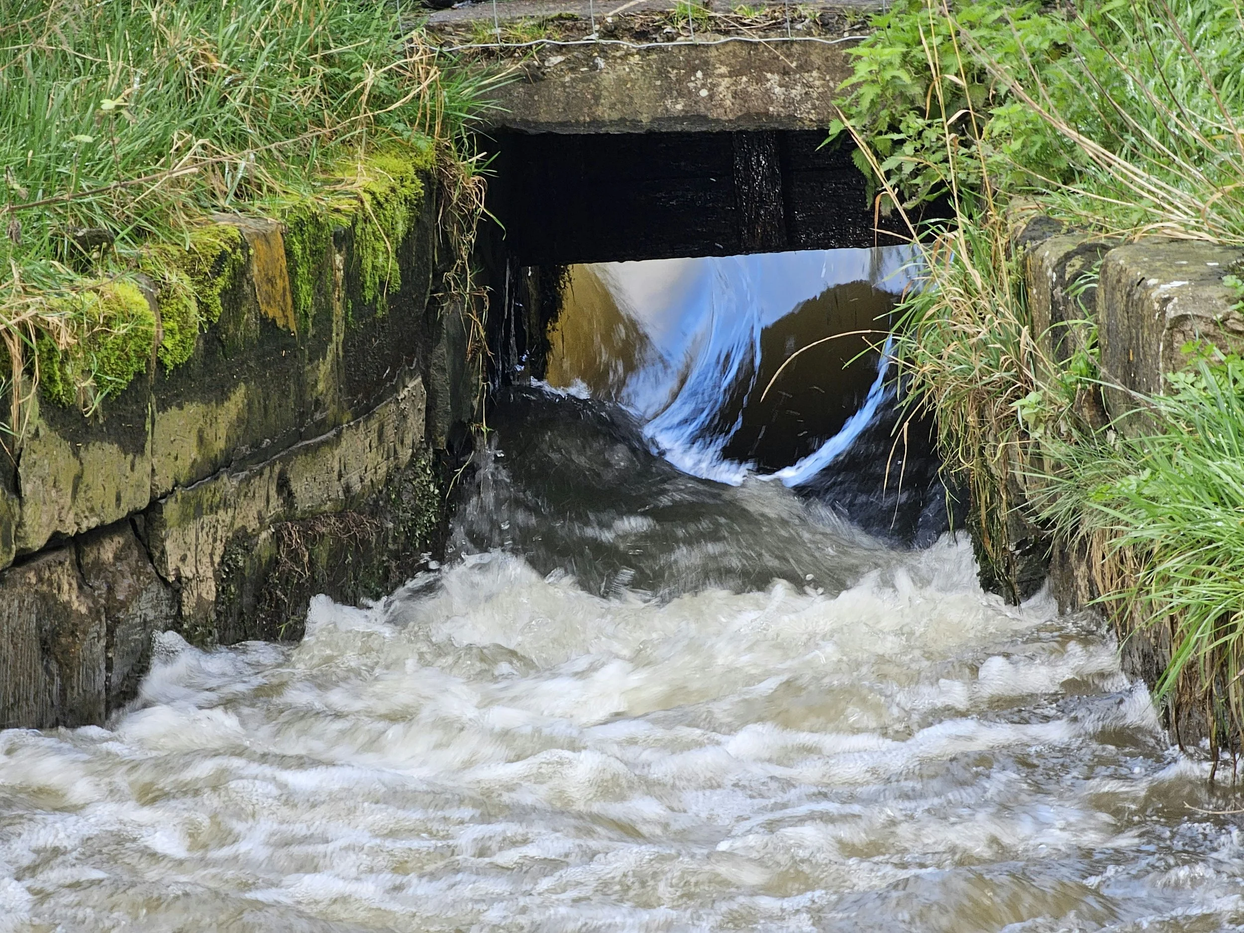 BRIC Is Back: Is Your Climate Project Grant-Ready?
