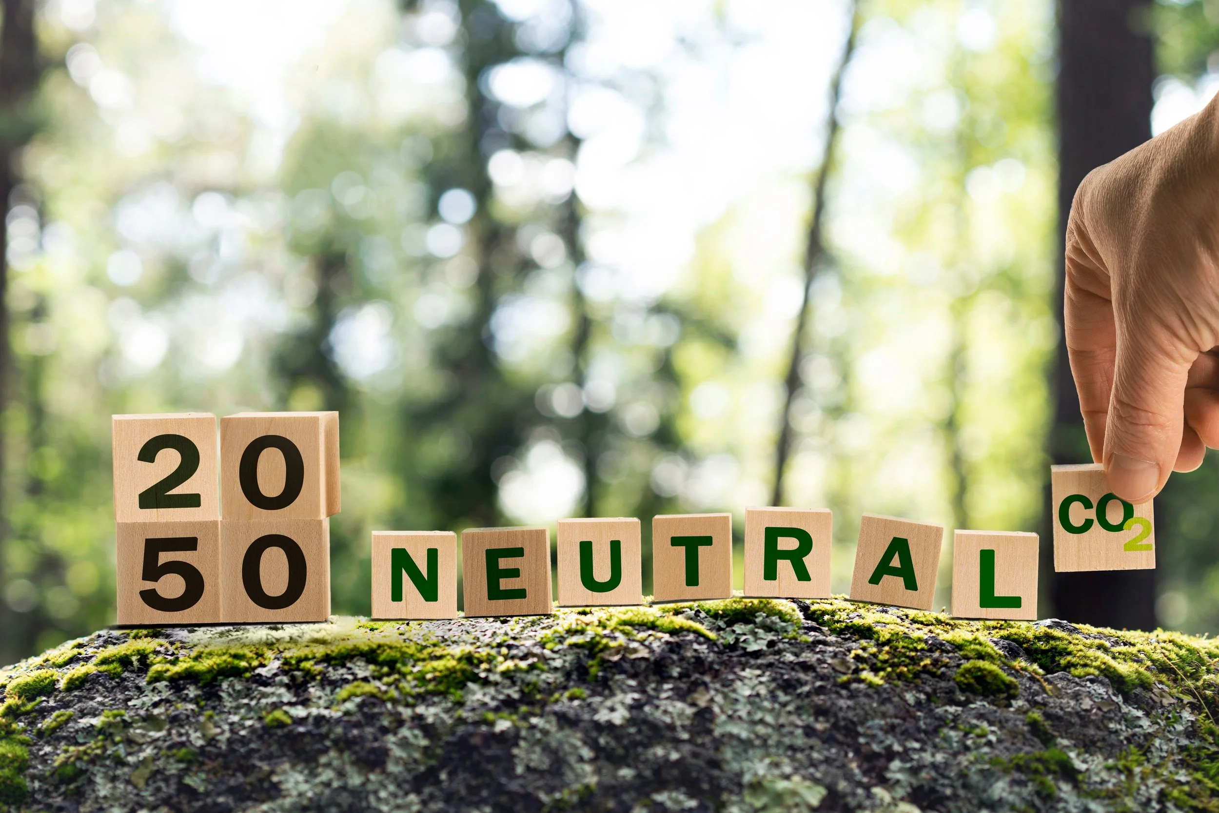 Carbon Neutral Goals Are Powerful. Clear Accounting Makes Them Credible.