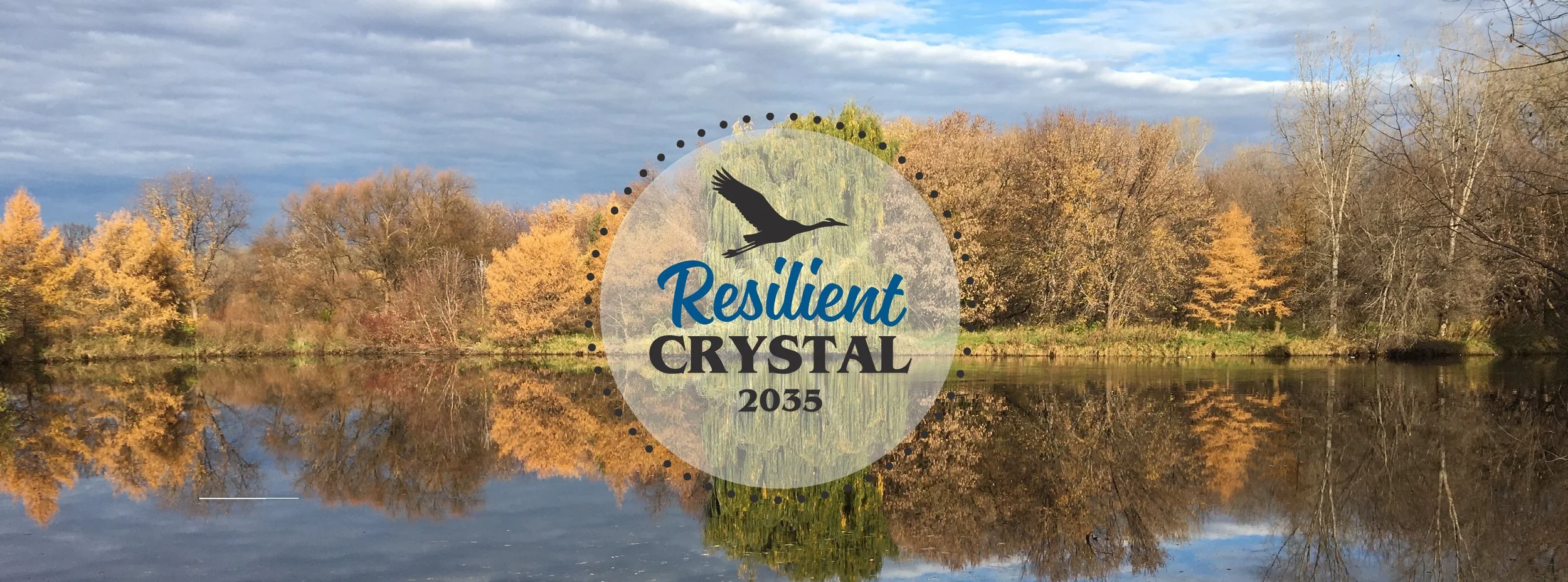 Website Banner 2.jpg