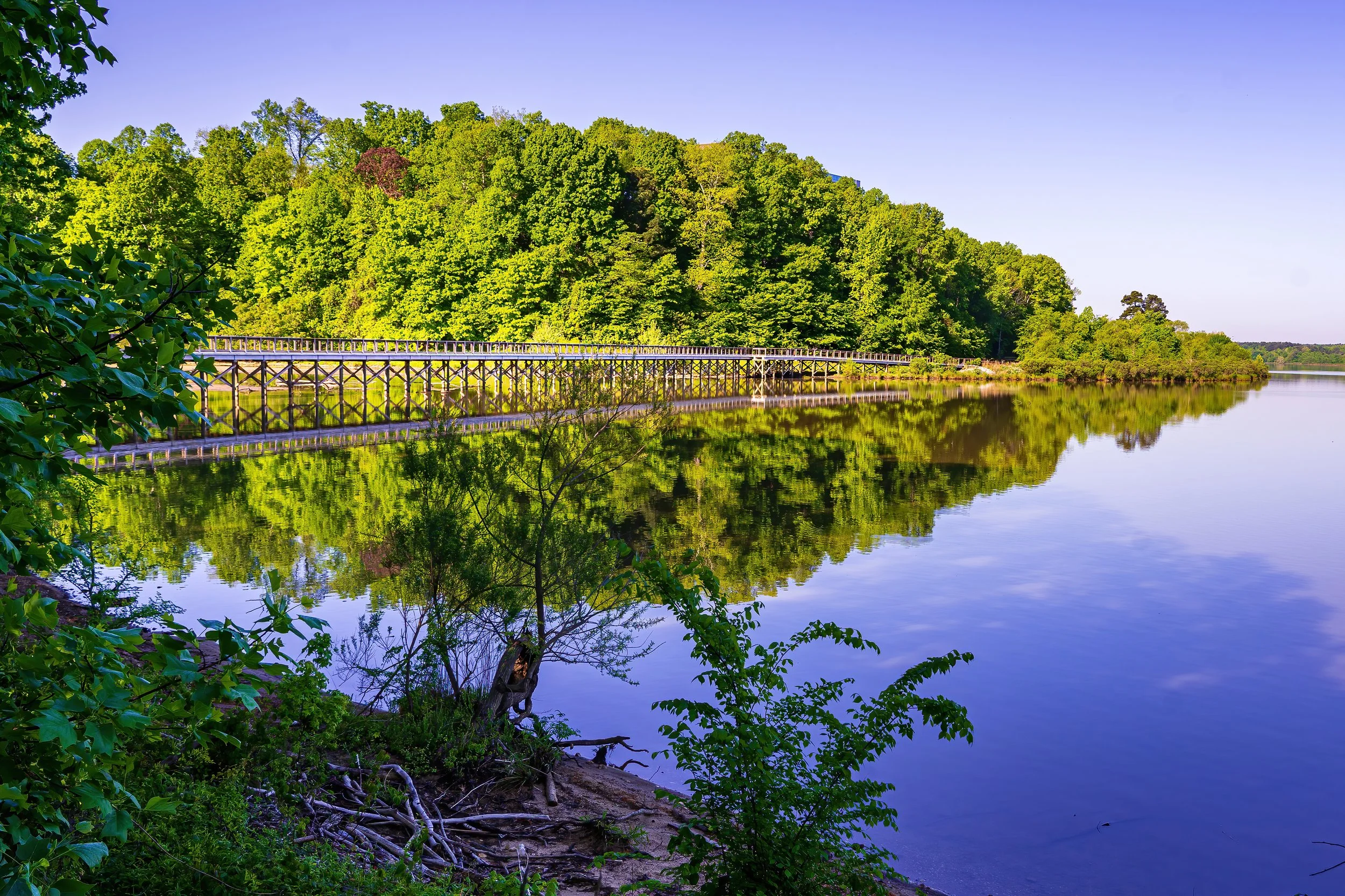shutterstock_1963154713.jpg
