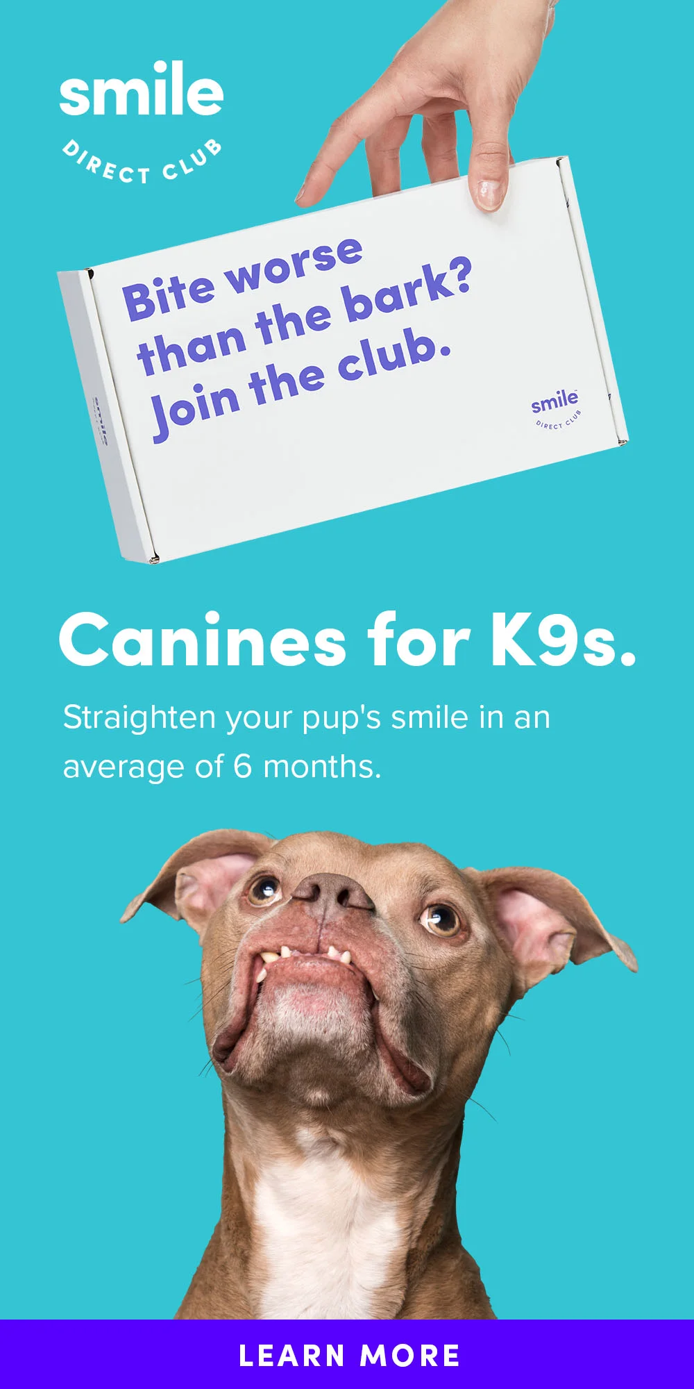 BT_AF_PinterestPaid 1000x2000 copy.jpg