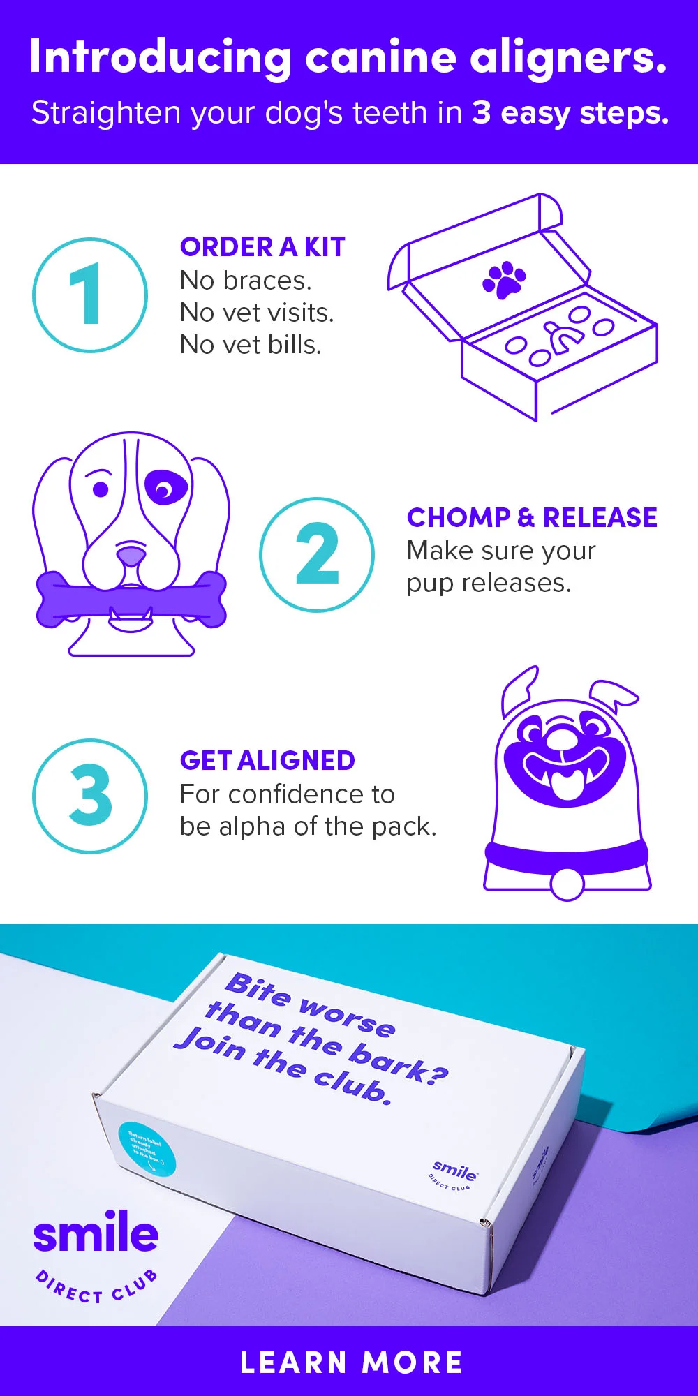 UPDATEPaid 1000x2000 copy 6.jpg