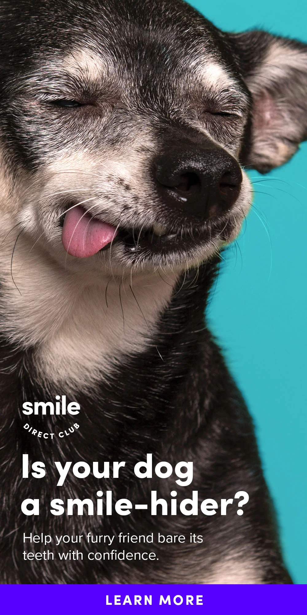 Paid 1000x2000 copy 13.jpg