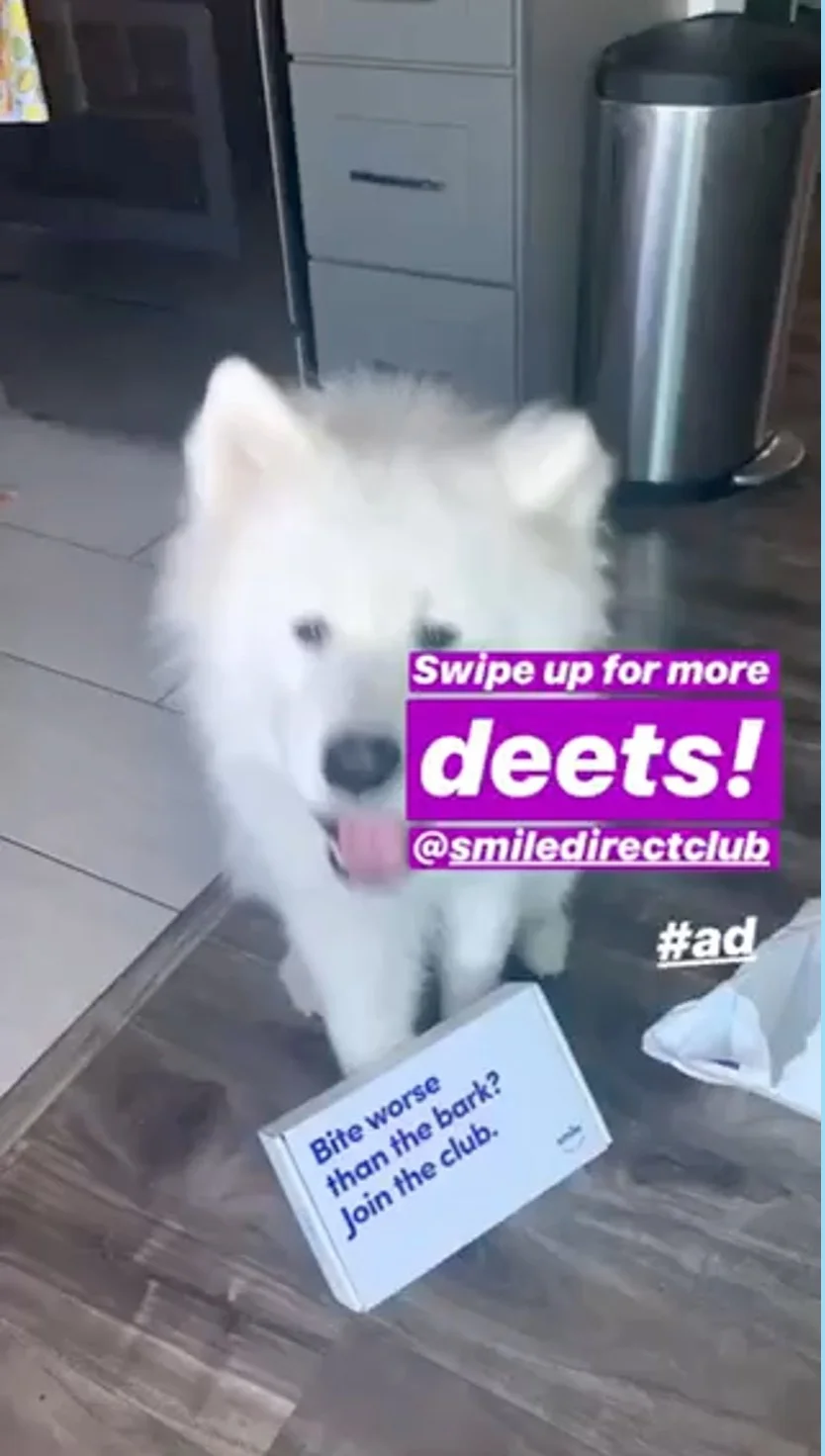 Screen Shot 2019-04-06 at 9.57.52 AM.jpeg