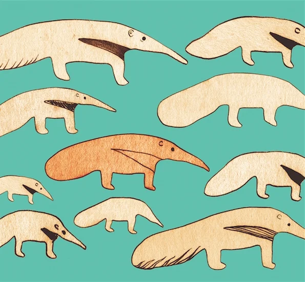 anteater_thumb.jpg