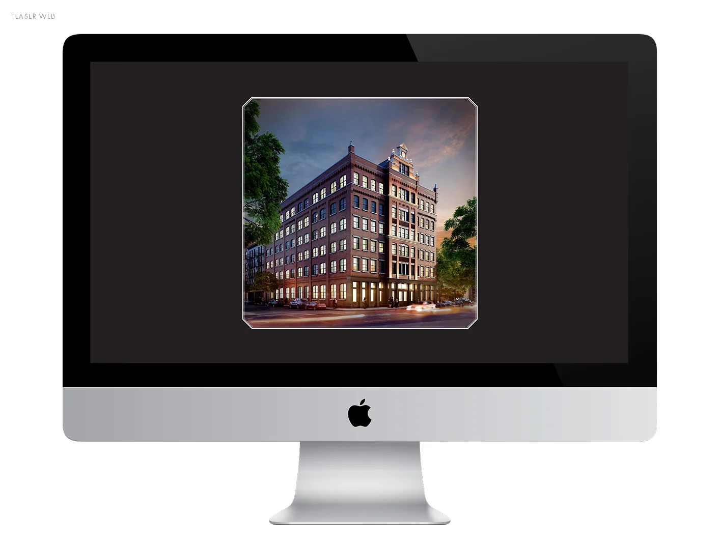 webDesign_Schumacher_web.jpg