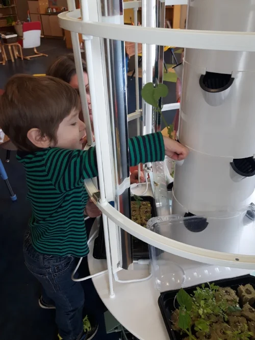 "I want to plant the tall one!"