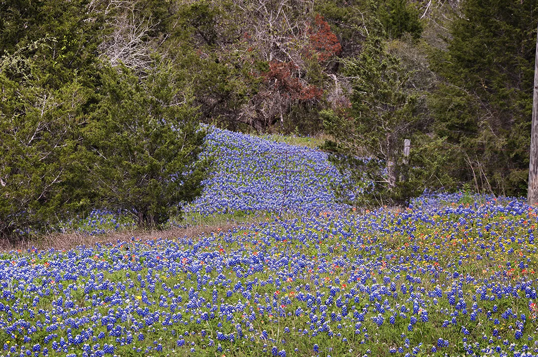 Taken near Navasota, Texas in April 2012