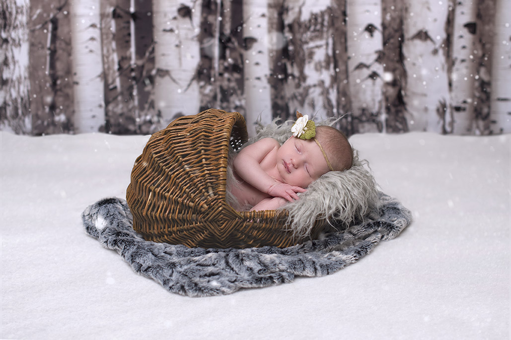 newborn baby in the snowy aspens