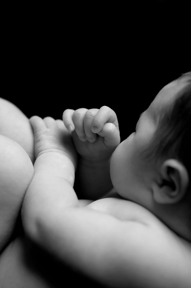 baby hands in black and white