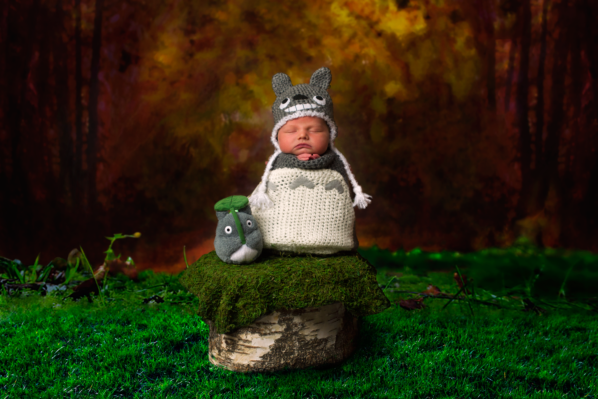 baby Totoro