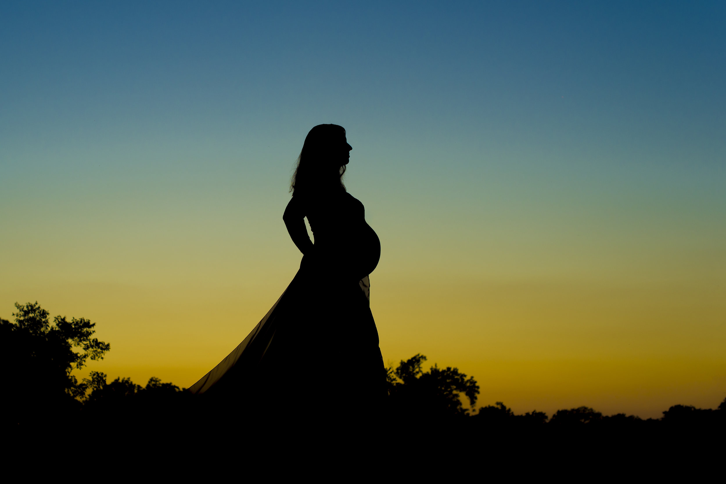  elegant, colorful pregnancy silhouette   