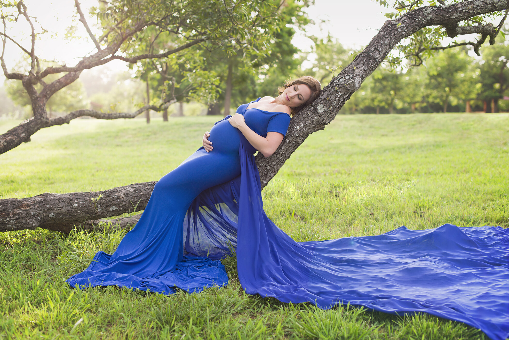 maternity pose on tree