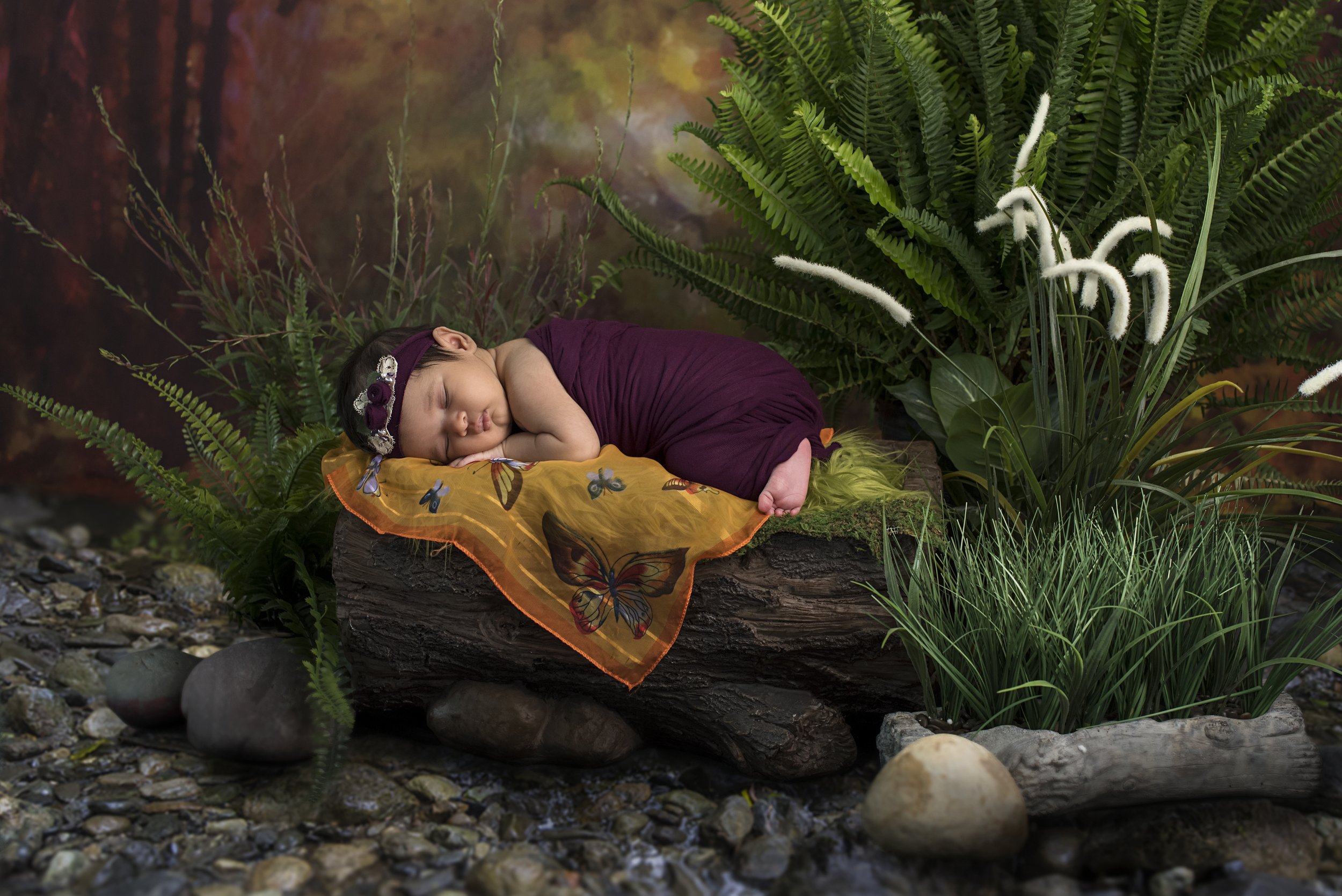 baby on a river bed in the forest