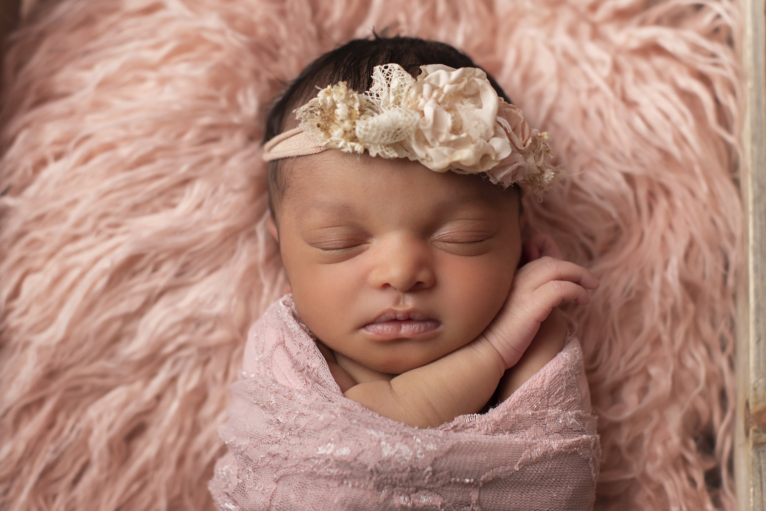 close up newborn photos