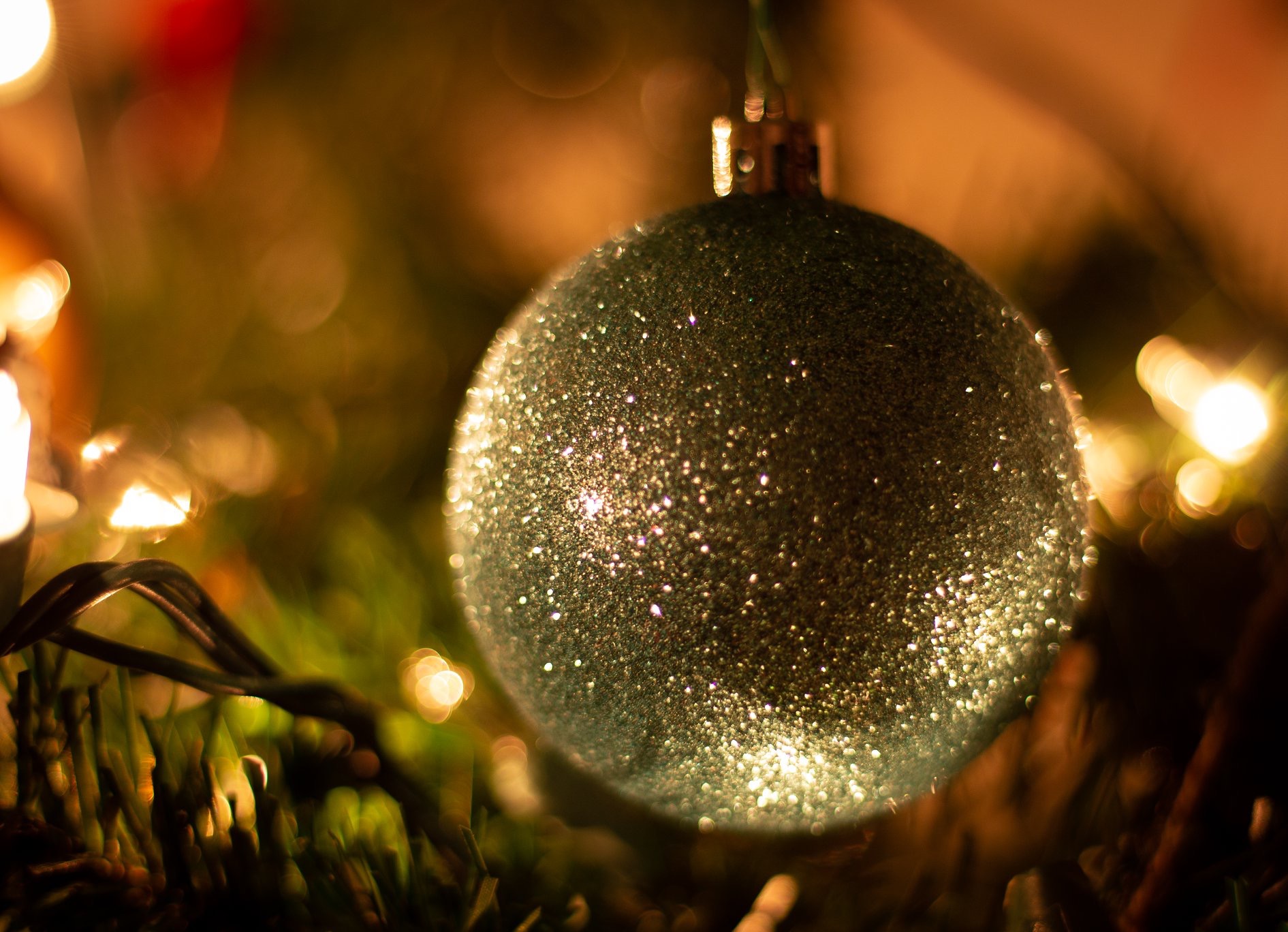 Happy Holidays!