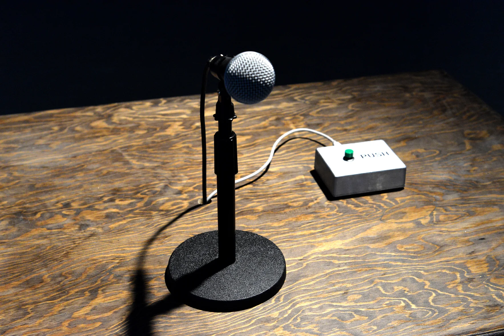 Technical and sound design by Heather Kirby Premiered at the Images Festival, Toronto, April 2014 and received the Steamwhistle Homebrew Award This project is a Bambitchell collaboration. To view video documentation click here Text by Aditi Ohri for the installation at Articule Gallery