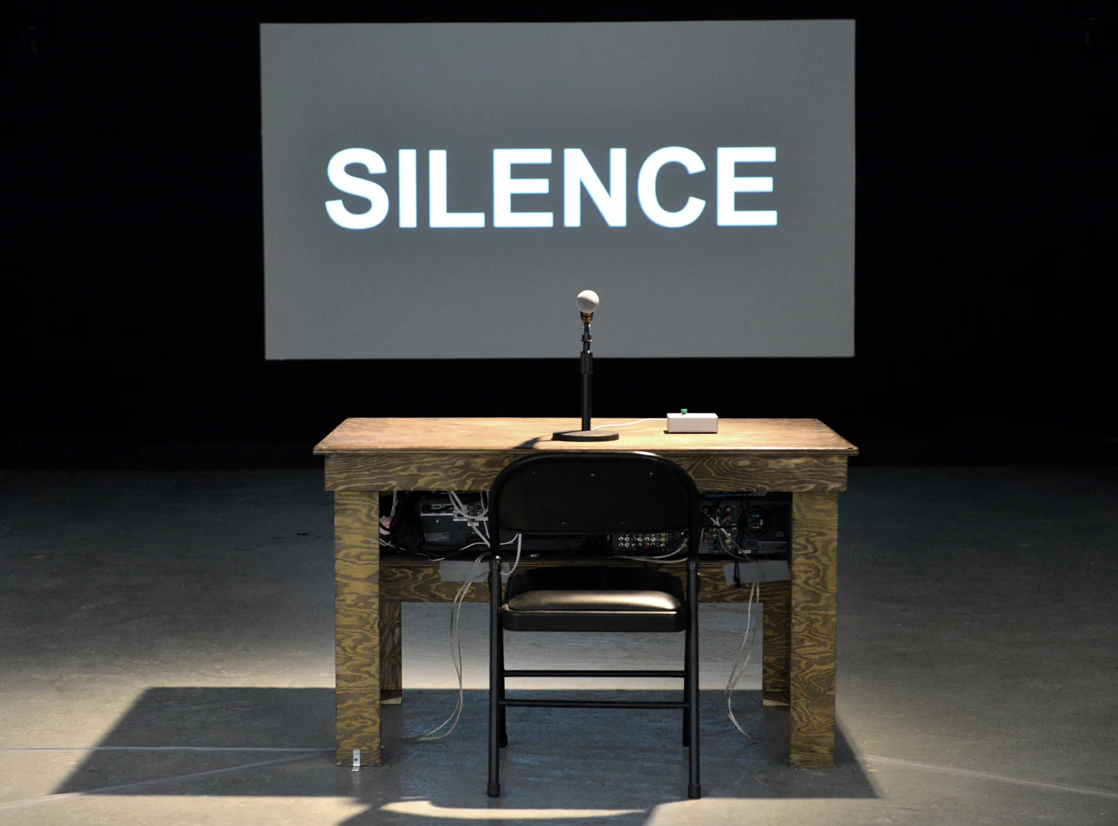 Silent Citizen (2014)