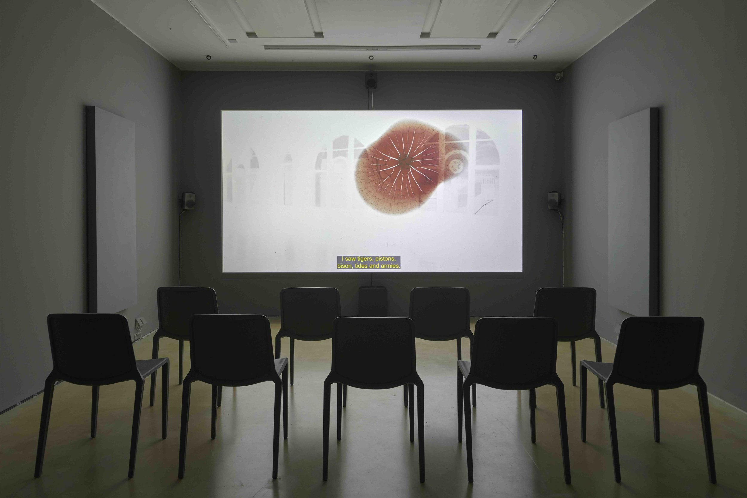 Installation documentation. From solo exhibition The Goal of Our Health at Peer Gallery, London UK May - August 2025. Photo credit: Andy Keate, 2025.