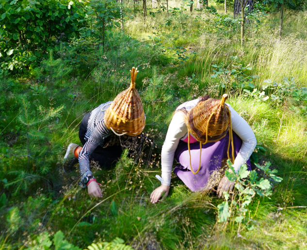 social mushroom picking.PNG