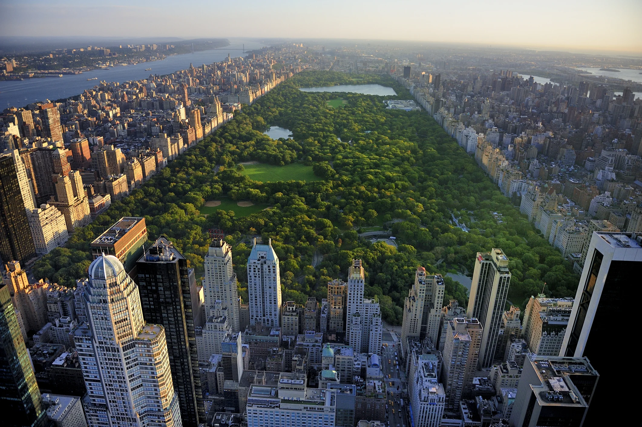 Central park.jpg