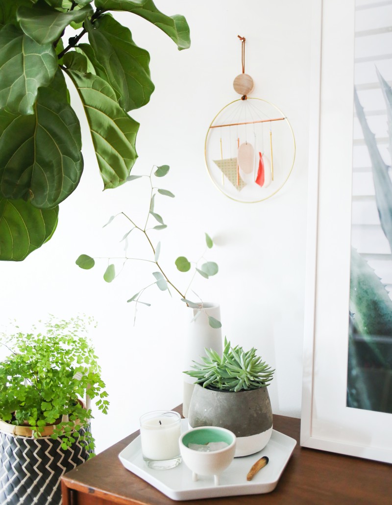 Great tutorial here from Amber Lewis on how-to incorporate plant life in your home