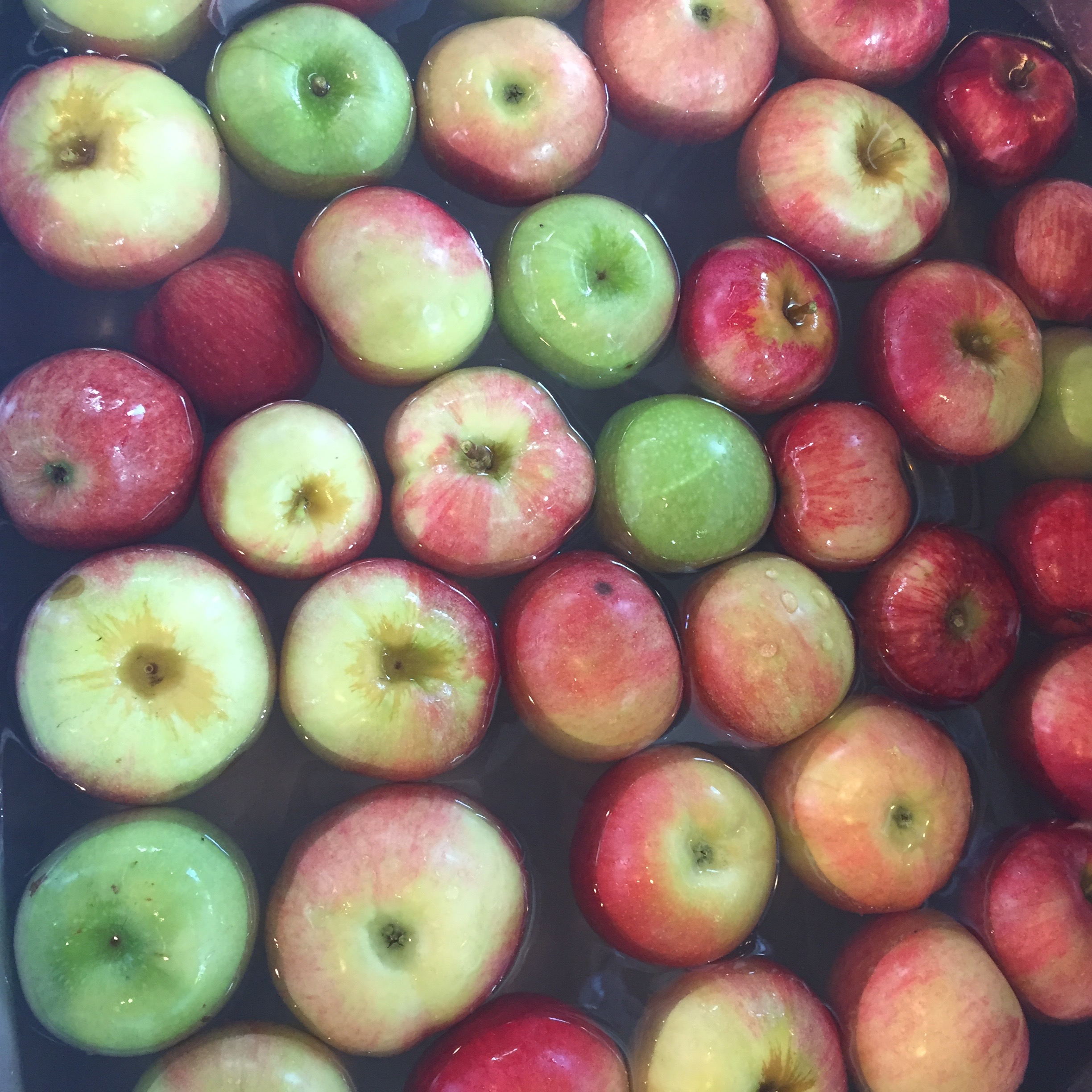 After a day of apple picking.