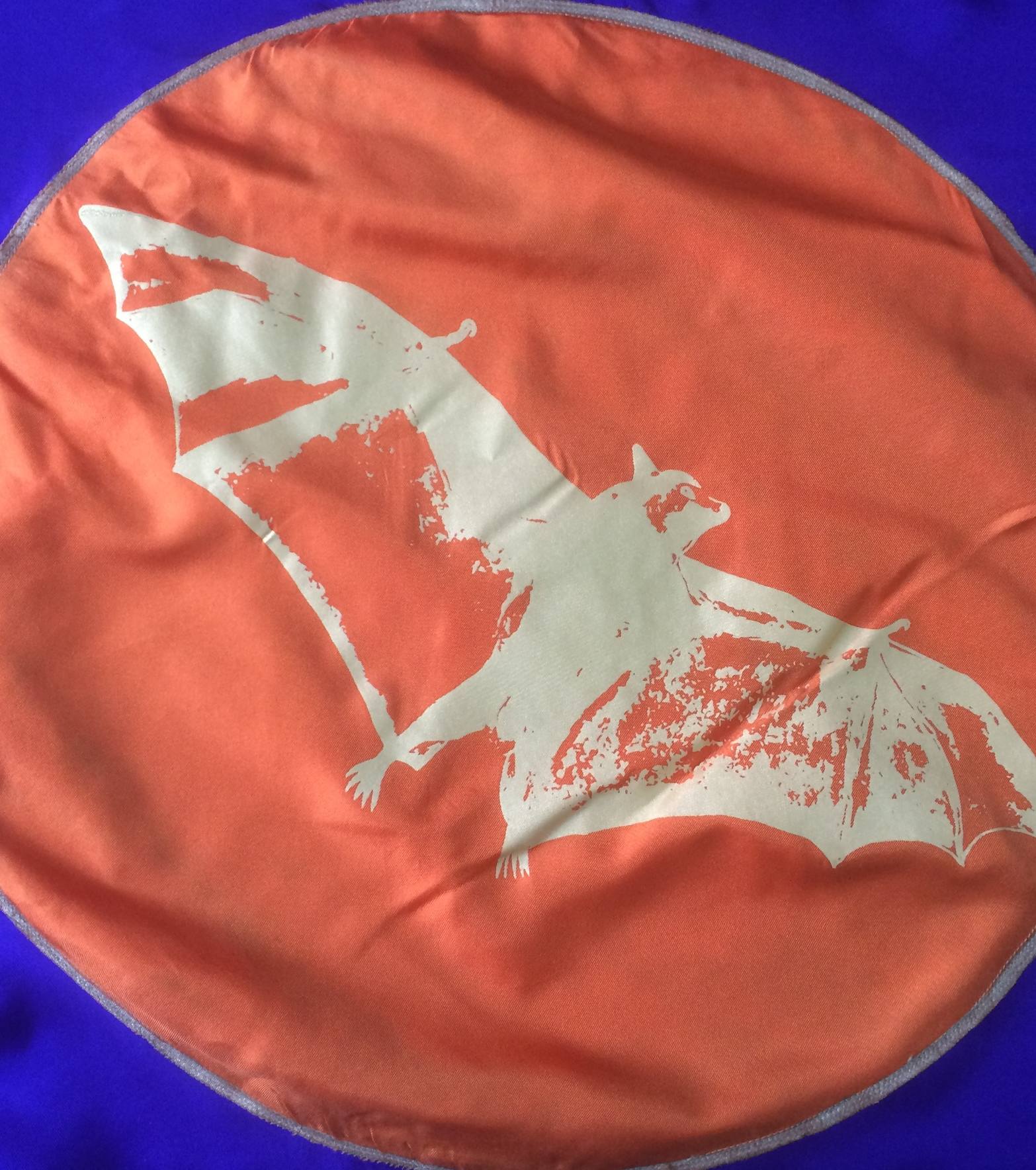 Grey headed flying fox