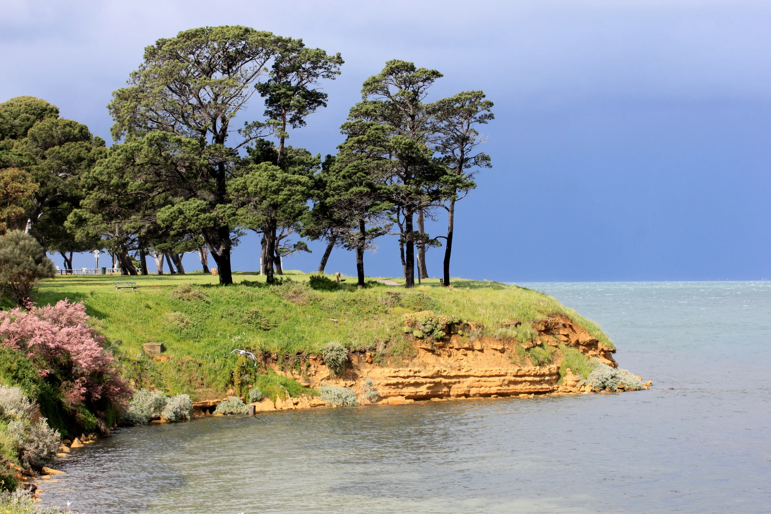 Moorpanyal Park  Image: Lois