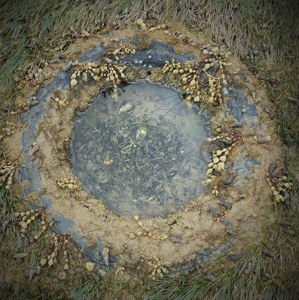 Submerged tire at Moorpanyal Park Beach  Photo by Merinda Kelly