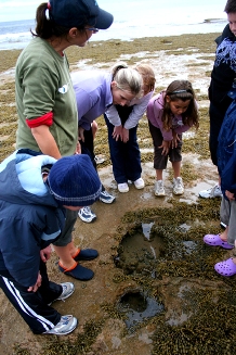 Discovering wildlife at Swan Bay