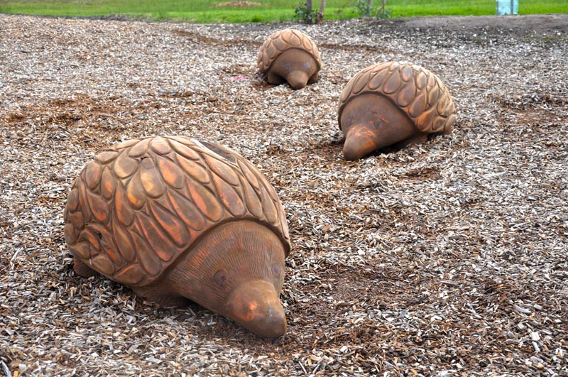 Wooden Echidna sculptures at Jan Juc Park by Glenn Romanis