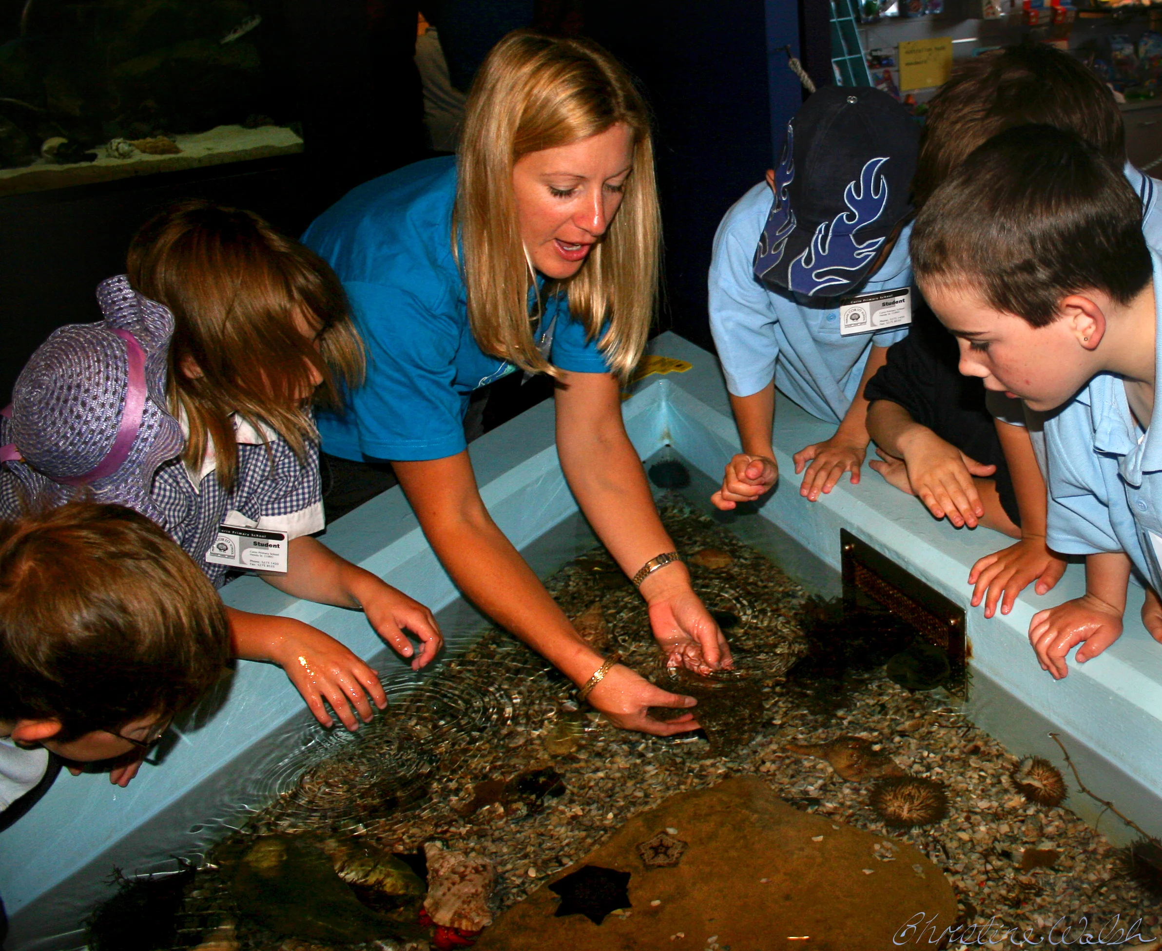 The Touch Tank at The Marine and Freshwater Discovery Centre