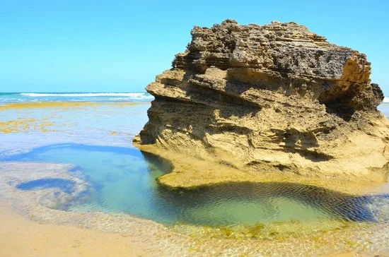 The sculptured rocks and rock pools at the beach in Point Lonsdale.  Photo by Dennis C via Tripadvisor