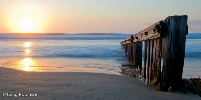 Ocean Grove Beach  Photo by Craig Robinson