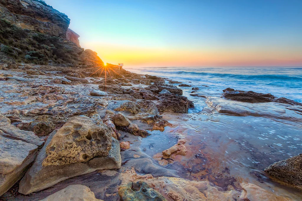 Barwon Heads Foreshore  Photo by Lynden Smith