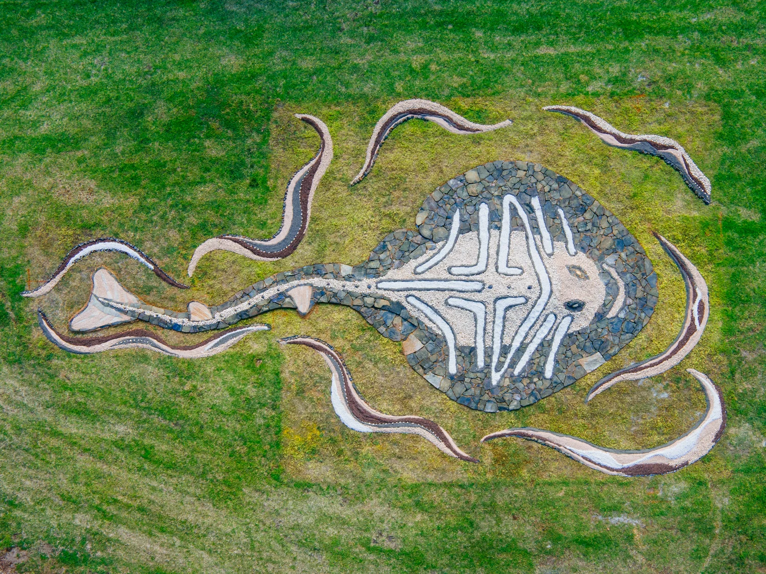 An aerial shot of "Banjo Ray" by Glenn Romanis (If a person was in the shot they would take up about the space of one of the eyes).  Image by Jarrod Boord.