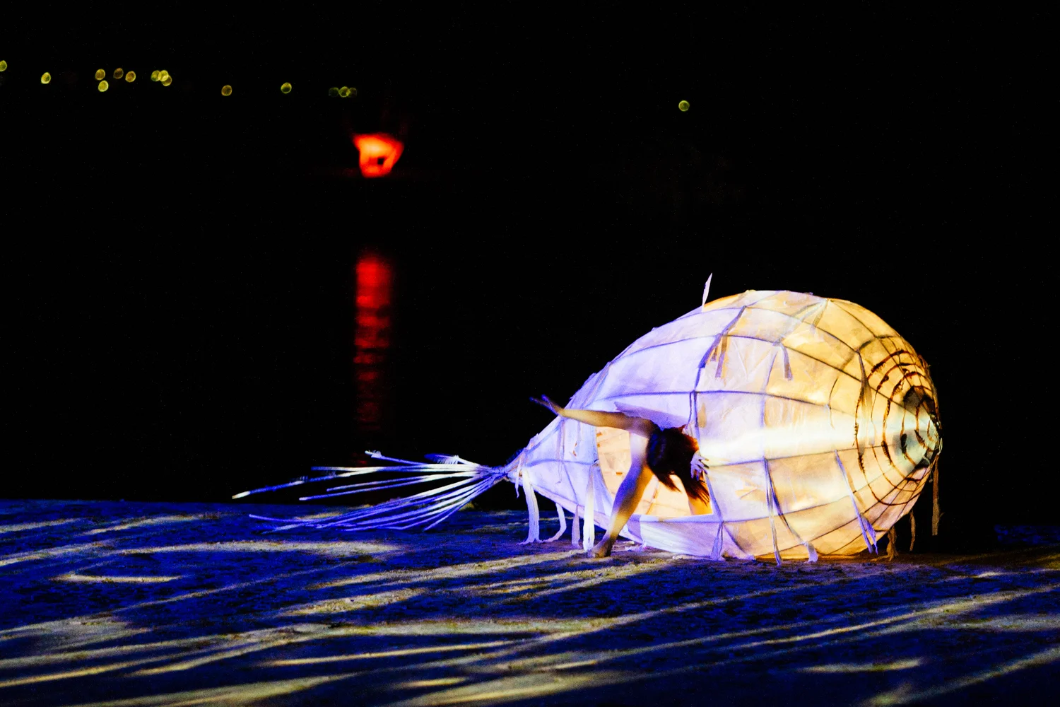 Hatching of the egg.   Image by Dean Walters Photography.