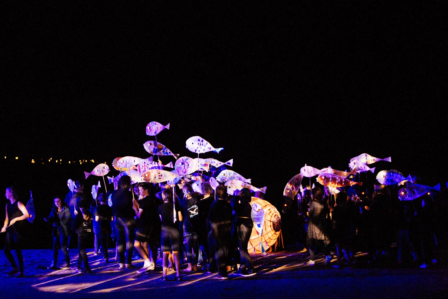 The school of fish puppets at The Gathering of the Elements ceremony.   Image by Dean Walters Photography .