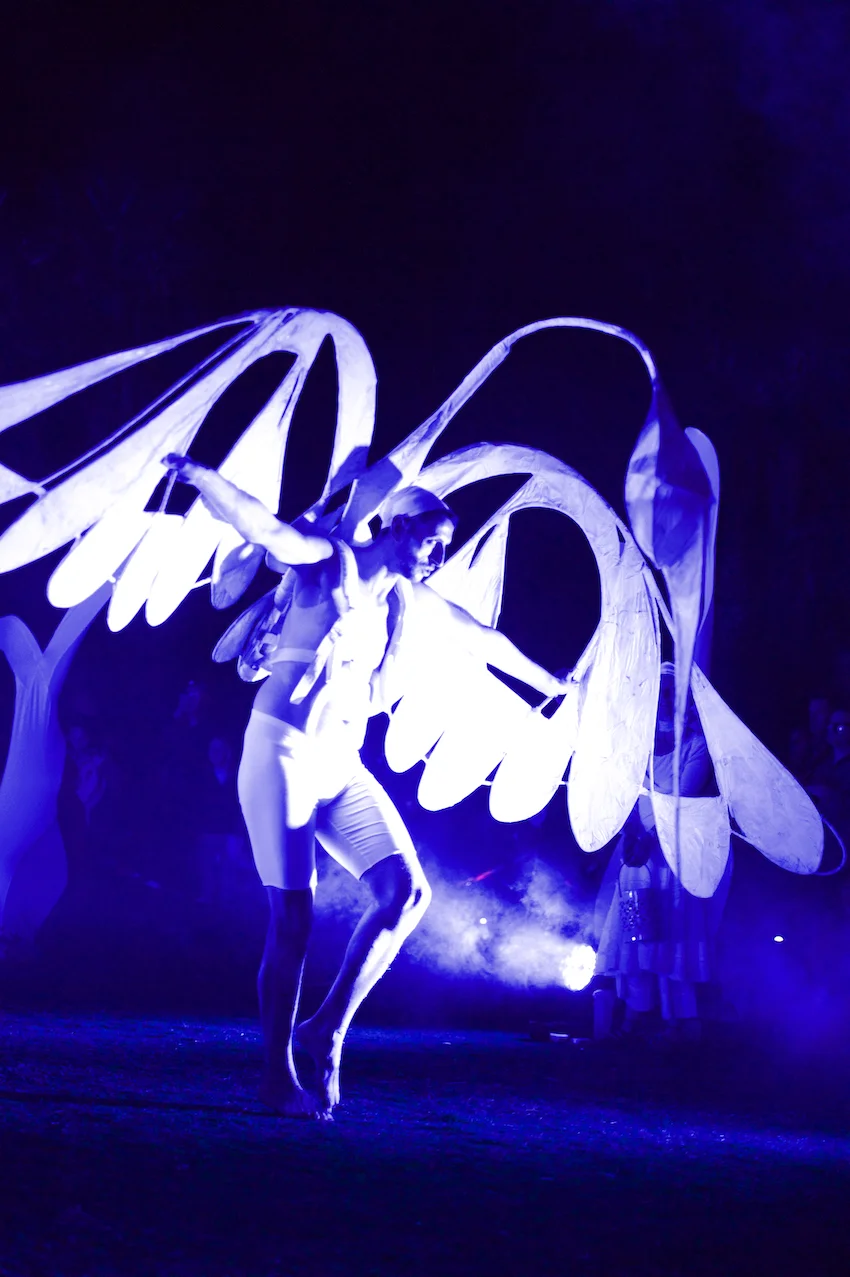 Sprit Bird Dancer: Adam di Biase; Photographer: Fern Millen