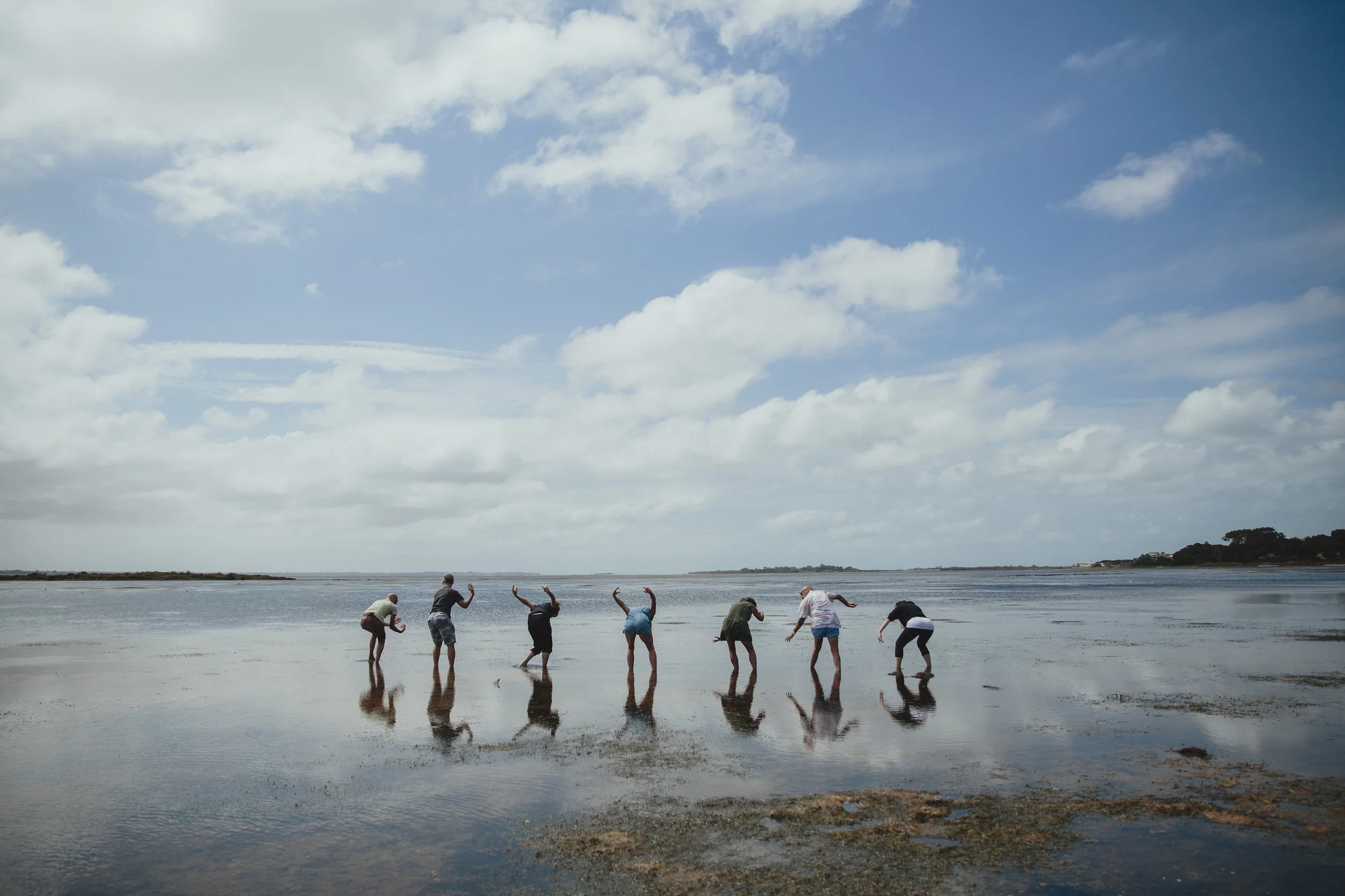 Environmental Performance Agency (EPA)