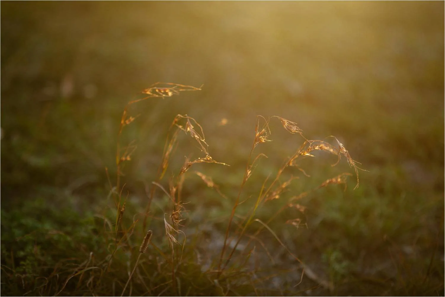 Photographer: Ed Sloane