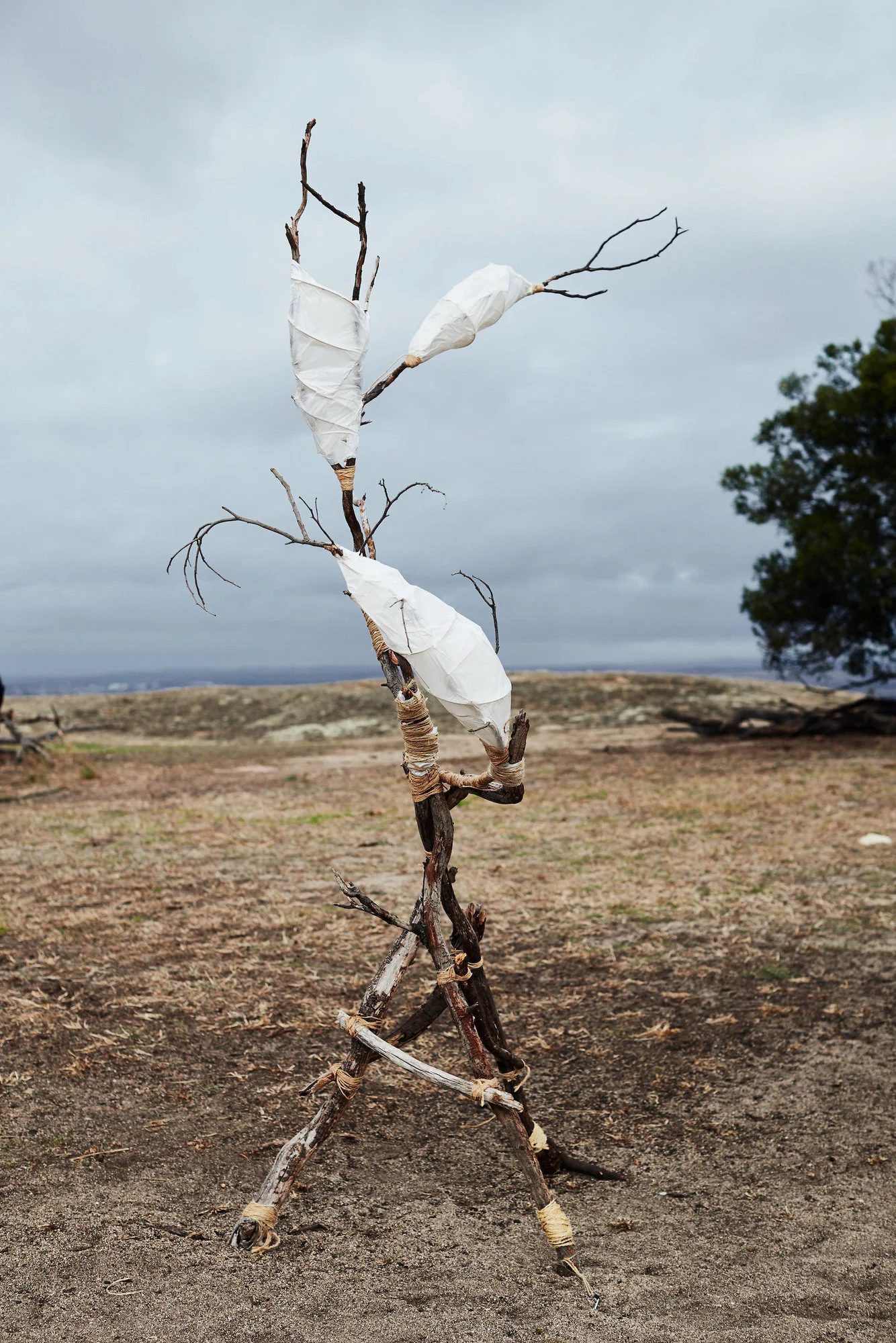 Gathering of the Elders Ceremony; Photographer: Ed Sloane