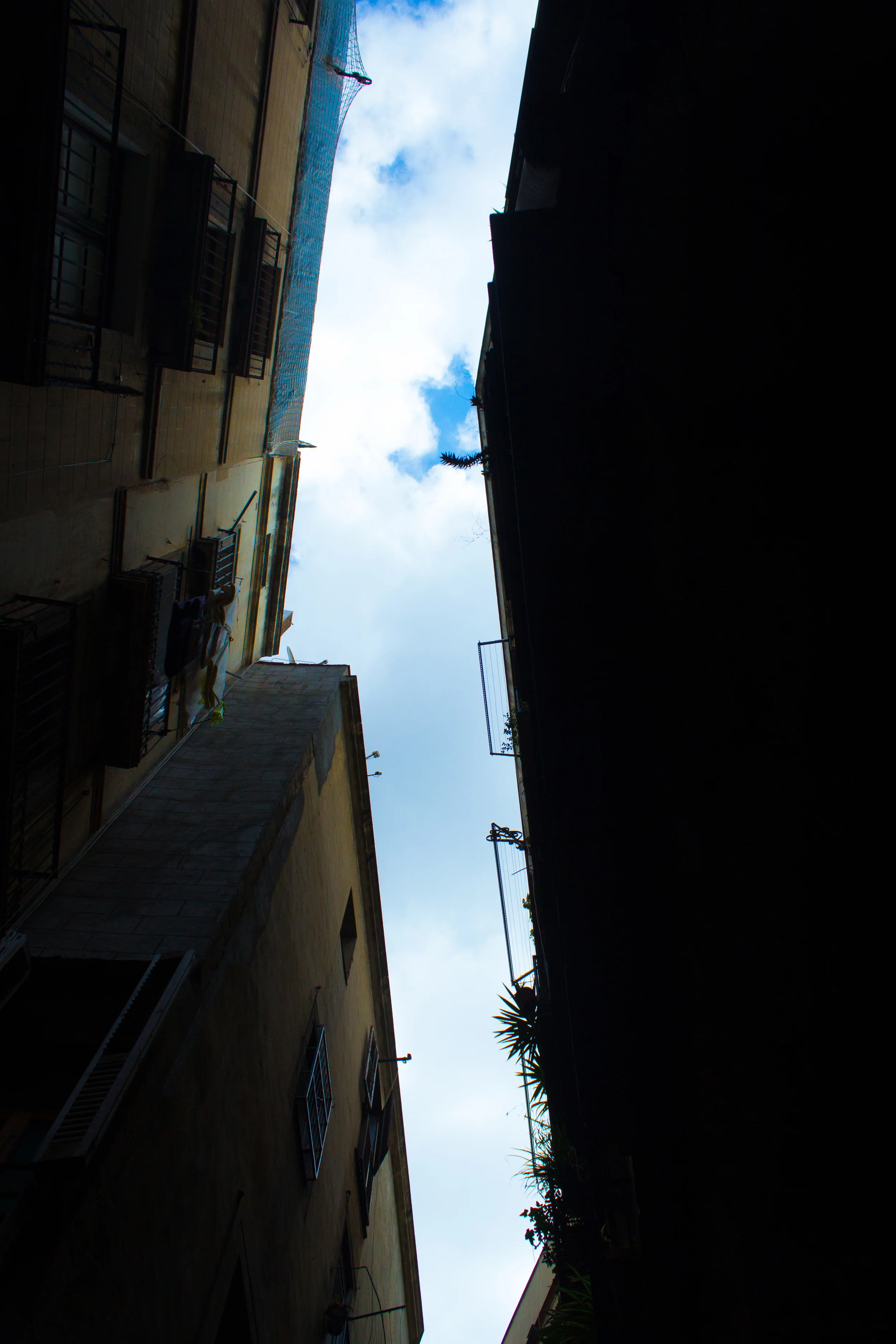 IMG_4621.jpg