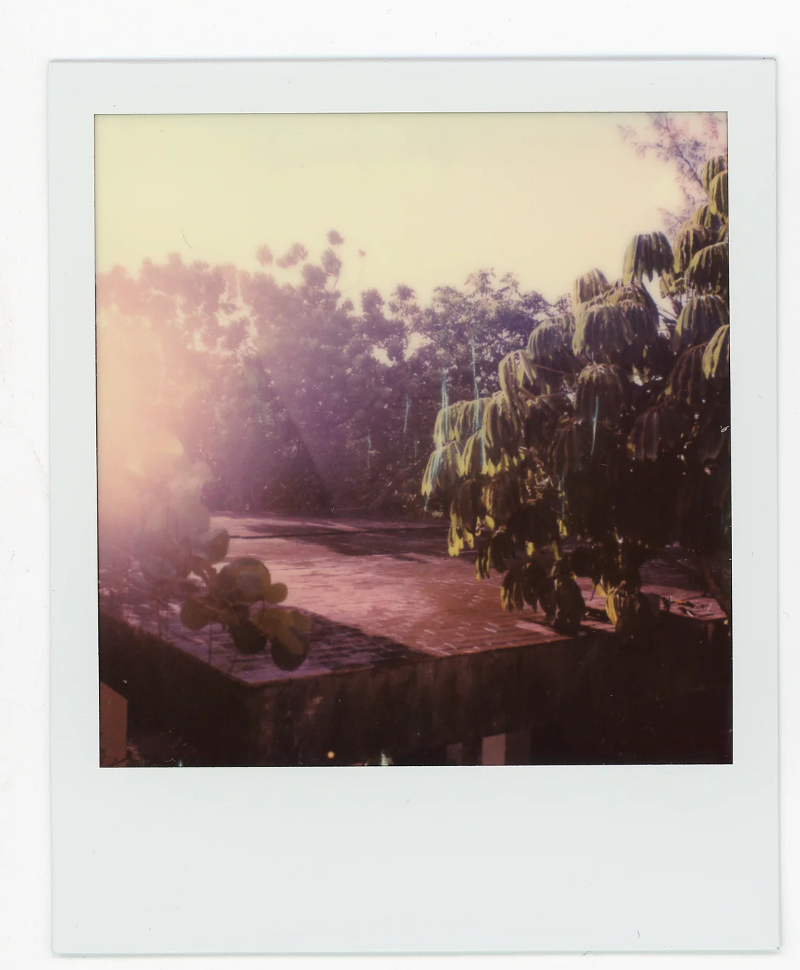 P_Bahamas013.JPG